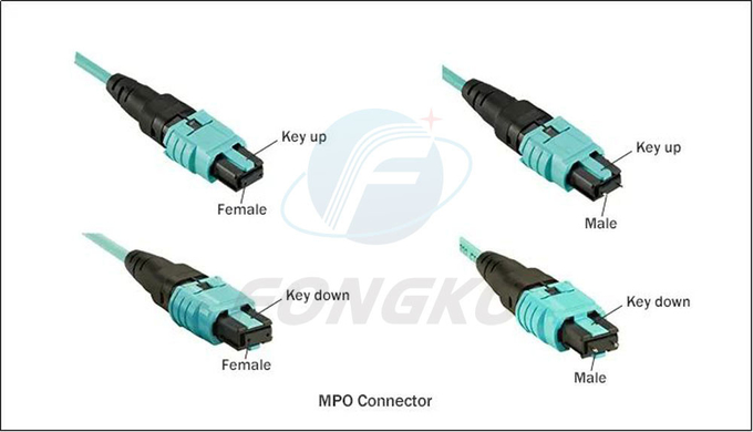 12 cabo OM3 do Fanout da fibra MPO LC da fibra ótica de 0.9mm ao milímetro de cabo de remendo 3